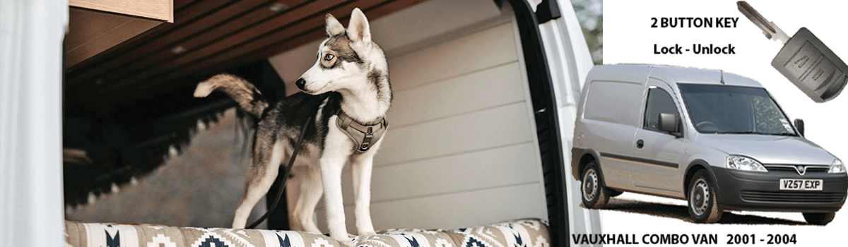 Replacement van key required after Jerry the Husky is thought to have eaten it. 24hr Auto Locksmith Cornwall. Car Keys Cornwall 07778 007247